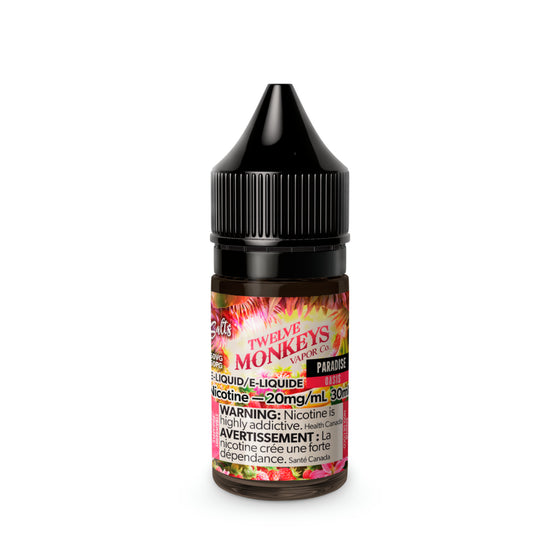 TWELVE MONKEYS SALT </br> PARADISE (DSL)