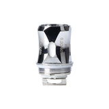 HORIZONTECH </P> FALCON / KING COIL (DSL)
