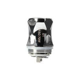 HORIZONTECH </P> FALCON / KING COIL (DSL)